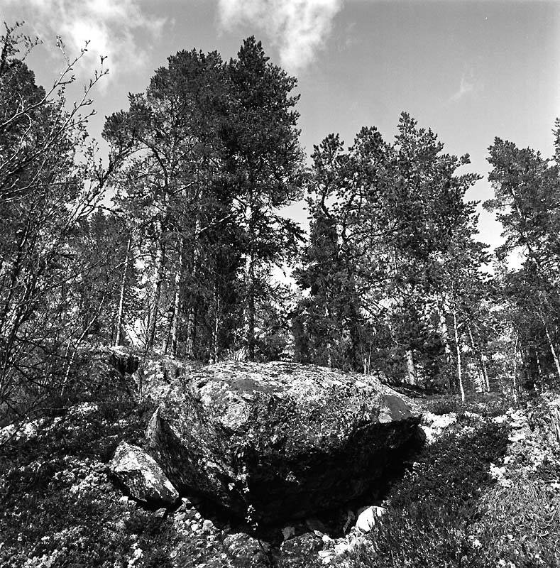 83-010-02-072.jpg