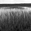 Thumbnail Landscape